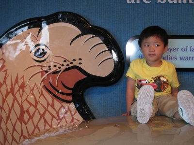 IMG_3811.JPG