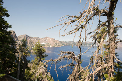 Crater Lake thru Trees