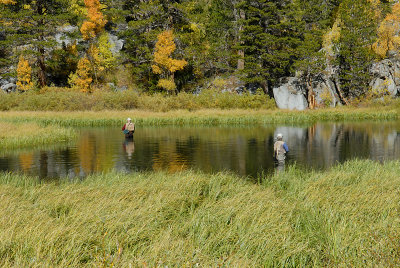 Trout fishing near Lake Sabrina