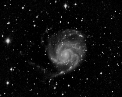 M101 in black and white.jpg