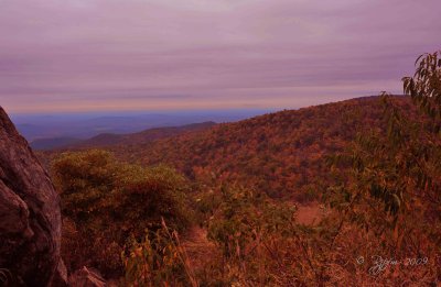 Scenic Shenandoah NP, Va