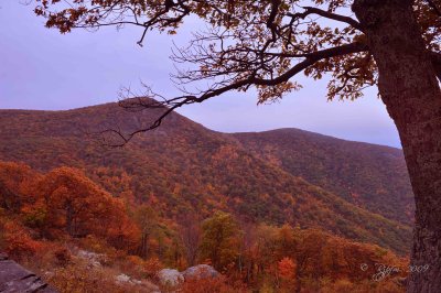  Scenic Shenandoah Mt, Va