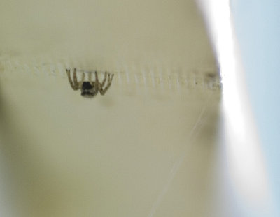 jumper, hanginaround  :o)