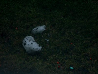 last snow  :o(
