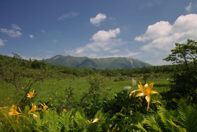 Numappara, Tochigi