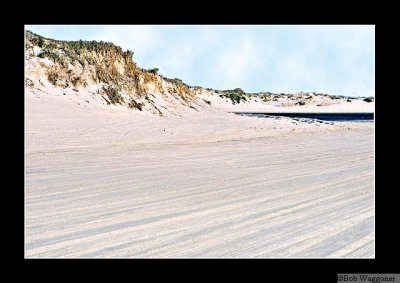 040530 Sand Dunes 1E.jpg