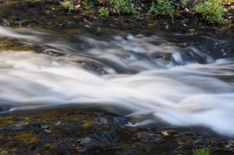 DSC_0713.jpg