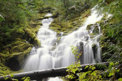 Upper Proxy Falls