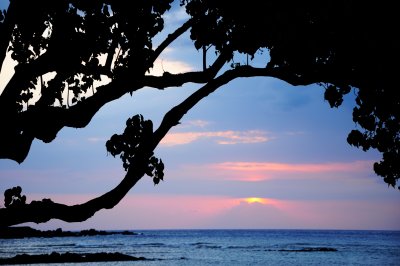Mauna Lani Sunset III