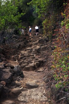 Pololu Trail