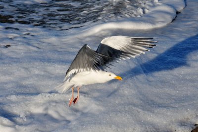 Taking Off