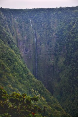 Jurassic Waterfall