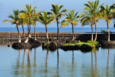 Mauna Lani Historic Fish Ponds