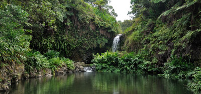 The Old Swimming Hole