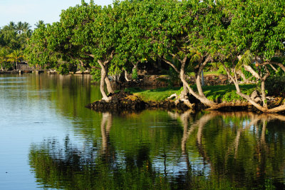 Fish Ponds