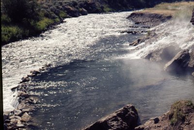 YELLOWSTONE PARK .jpg