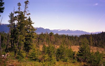 Muskeg and mainland across the sound