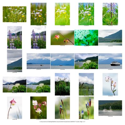 Contact Sheet