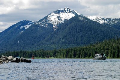 Fishing in the Narrows