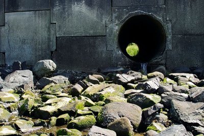 Storm drain below Nordic Drive