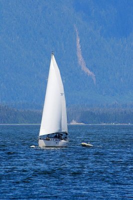 Sailboat