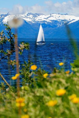 Sailboat