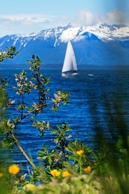 Sailboat