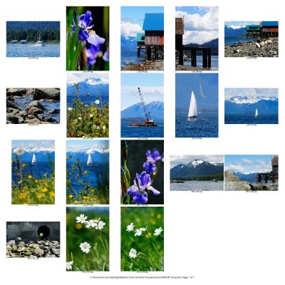 Contact Sheet
