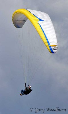 IMG_0065.jpg