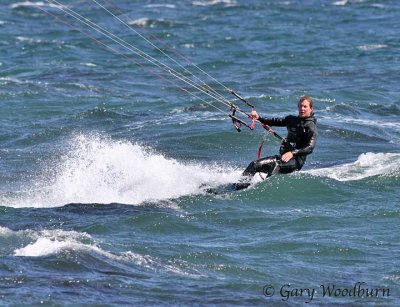 IMG_1863.jpg