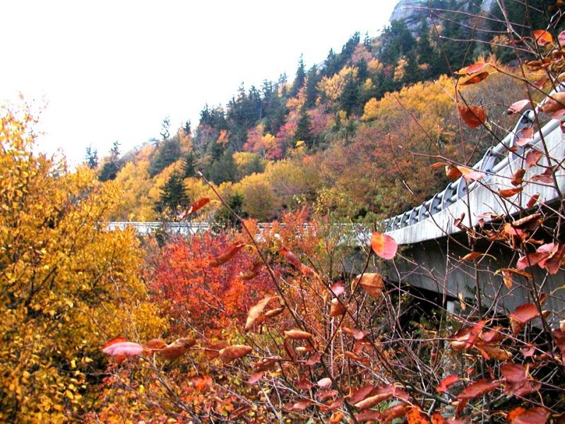 Linn Cove Viaduct