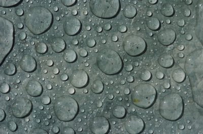 Rain drops on Slate