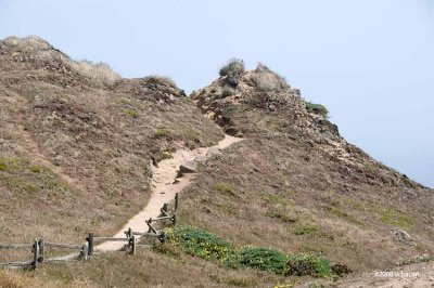 Path at the point.