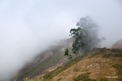 Marin headlands in the fog