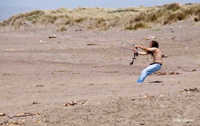 The kite flyer