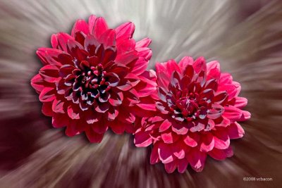 Zooming Color