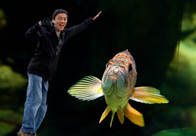 Go Fish!