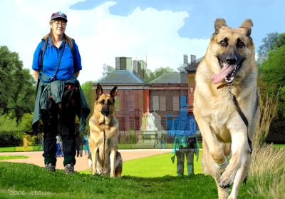 Romp at Kensington Park