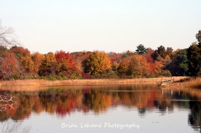IMG_0009a.jpg