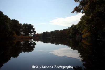 IMG_0011a.jpg