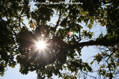 IMG_0014a.jpg