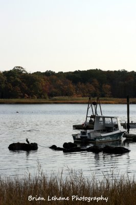 IMG_0053a.jpg