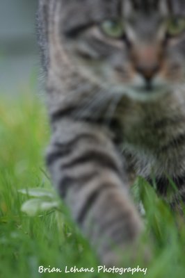 IMG_0059a.jpg
