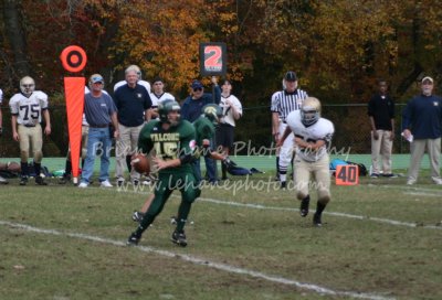IMG_0017a.jpg