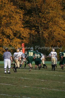 IMG_0203a.jpg
