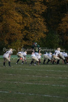 IMG_0206a.jpg