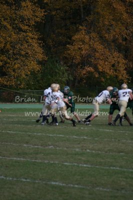 IMG_0219a.jpg