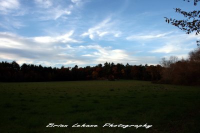IMG_0002a.jpg