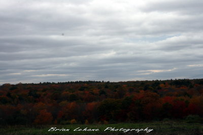 IMG_0050a.jpg