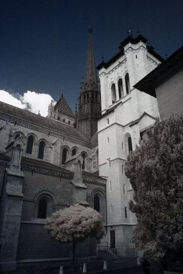 St Peter's Cathedral 2